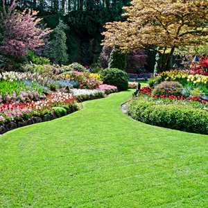 Tree-&-Shrub-Planting