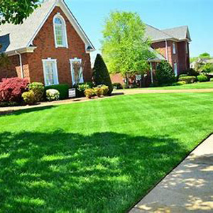 Weekly-Mowing
